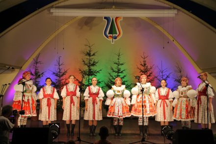 Występy konkursowe MSF